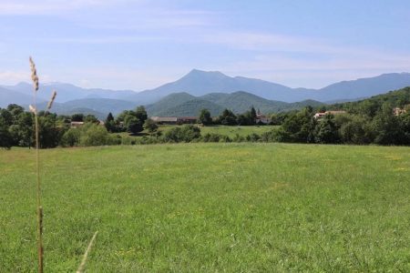 Aether-Cagire-village-printemps9