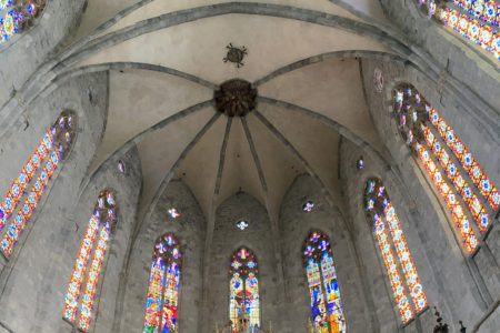 IMG_7247